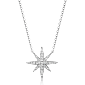 SOFIA strieborný náhrdelník so zirkónovou hviezdou IS028CT311RHWH
