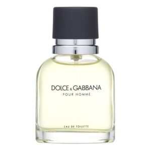 Dolce & Gabbana Pour Homme toaletná voda pre mužov 40 ml