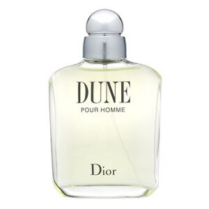 Christian Dior Dune pour Homme toaletná voda pre mužov 100 ml