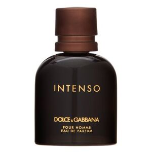 Dolce & Gabbana Pour Homme Intenso toaletná voda pre mužov 40 ml