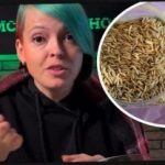 วิธีเลือกปุ๋ยพืชสดและสร้างความประหลาดใจให้กับเพื่อนบ้านด้วยการเก็บเกี่ยว: คนสวนให้คำแนะนำที่มีประสิทธิภาพ วิธีเลือกป