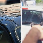 นกจะไม่ทำเรื่องไร้สาระกับรถอีกต่อไป นี่คือสิ่งที่คุณต้องทำ นกจะไม่ทำเ