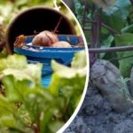 การกระทำง่