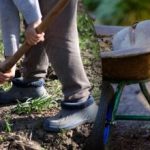 ปฏิทินการห